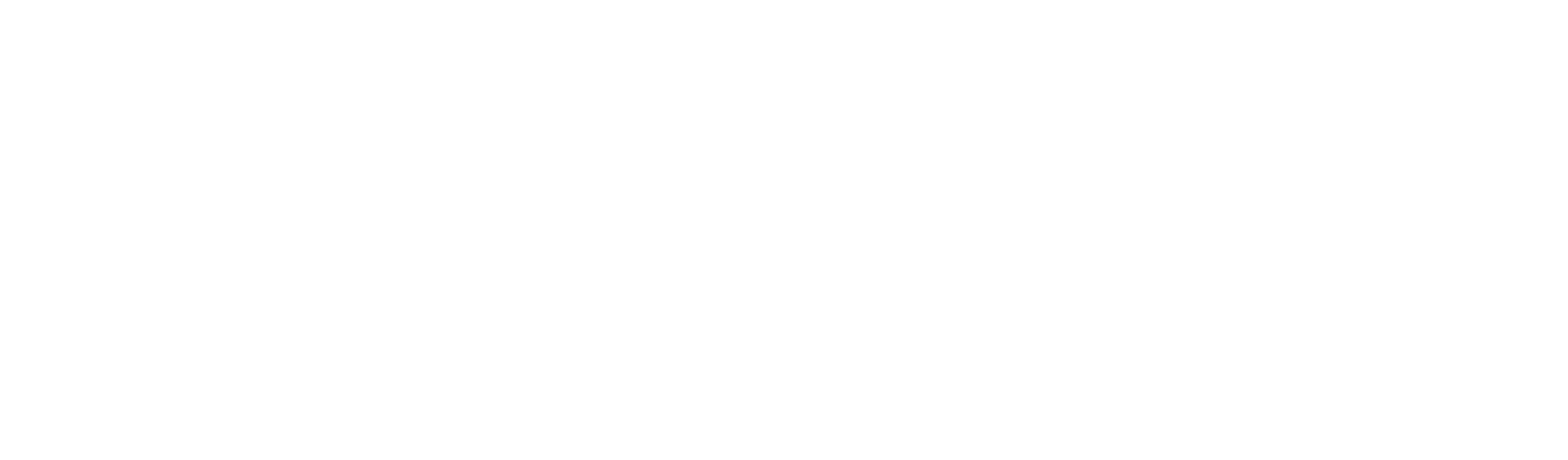 Skaktech Logo
